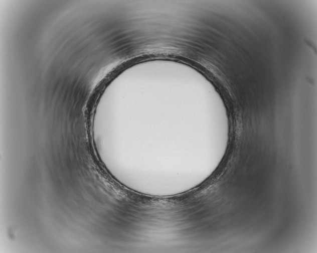 X0000099301022200805301129