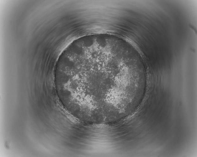 X0000099301023200805301129