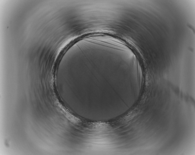 X0000099301024200805301129