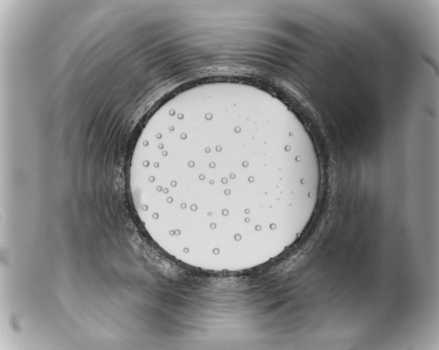 X0000099301025200805301129