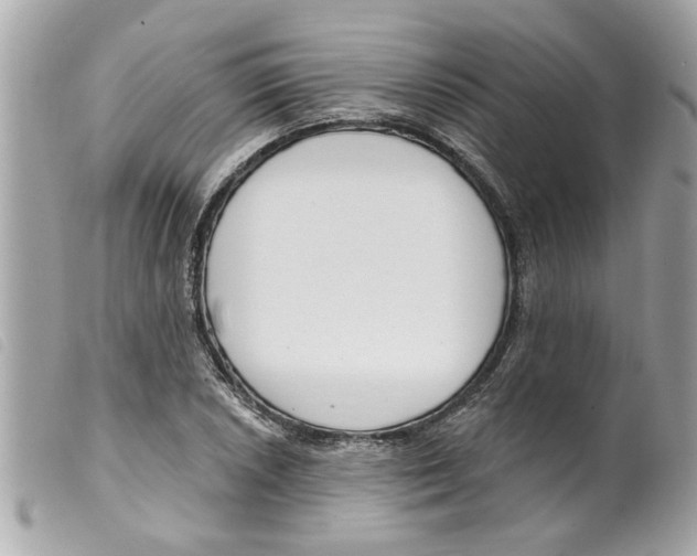 X0000099301026200805301129