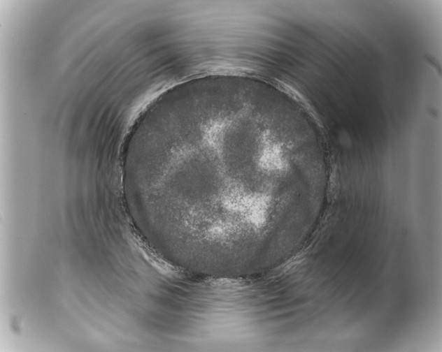 X0000099301027200805301129