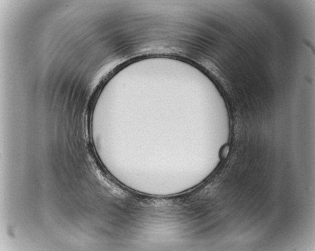 X0000099301030200805301129