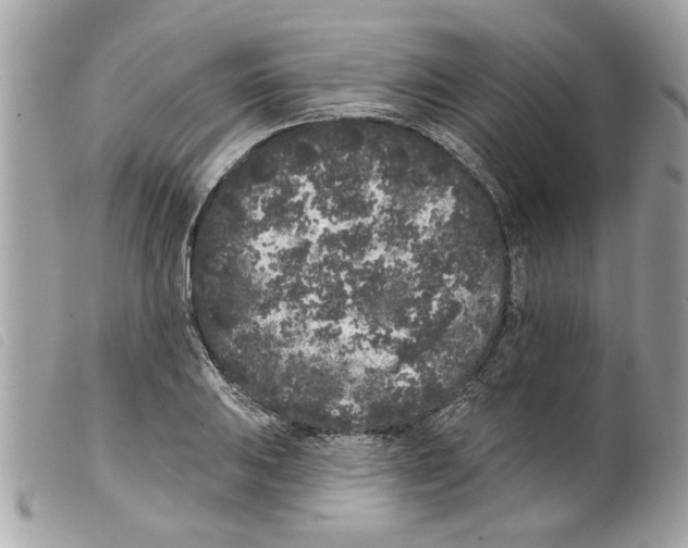 X0000099301031200805301129