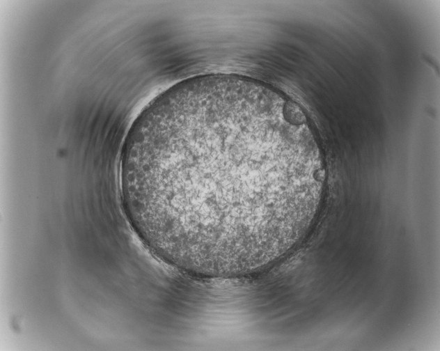 X0000099301032200805301129