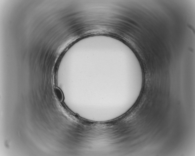 X0000099301034200805301129