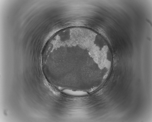 X0000099301035200805301129