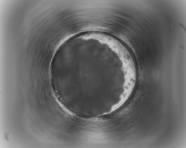 X0000099301037200805301129