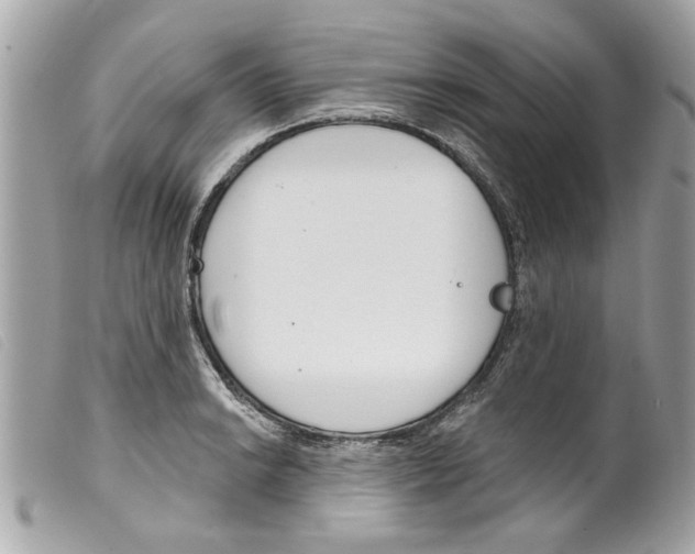 X0000099301038200805301129