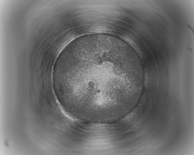 X0000099301039200805301129