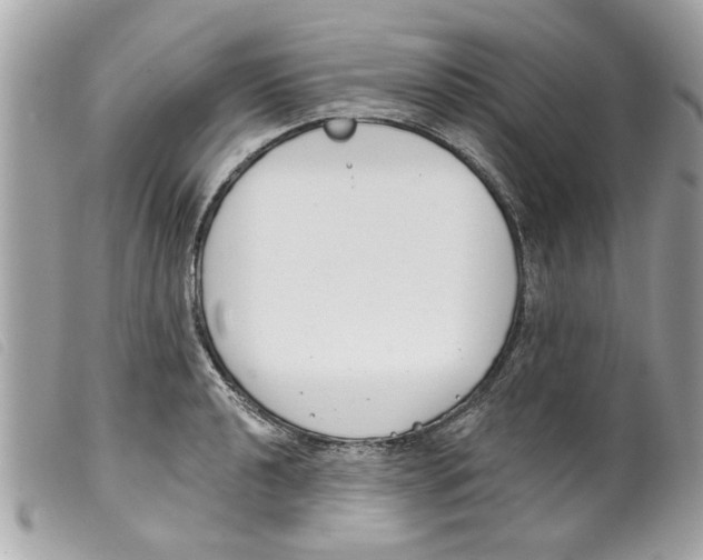 X0000099301040200805301129