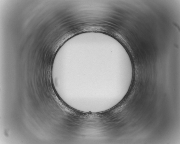 X0000099301041200805301129