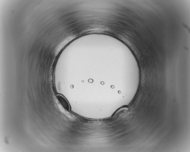 X0000099301042200805301129