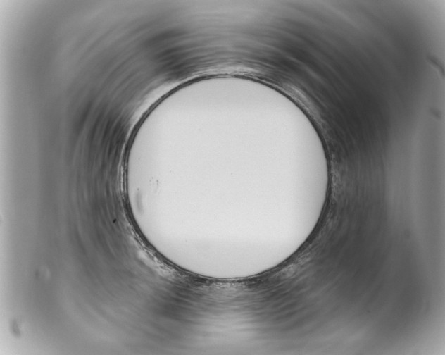 X0000099301044200805301129