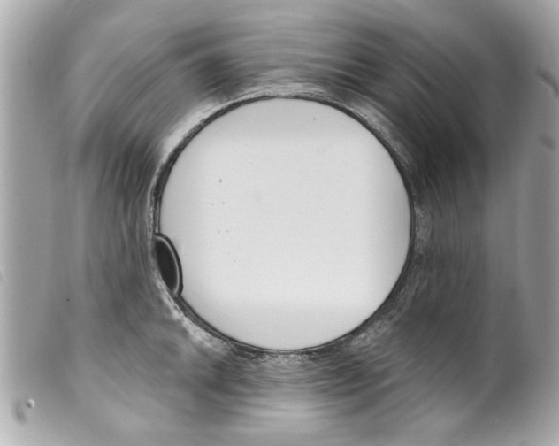 X0000099301046200805301129