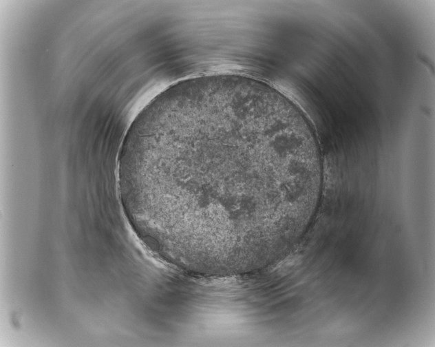 X0000099301047200805301129