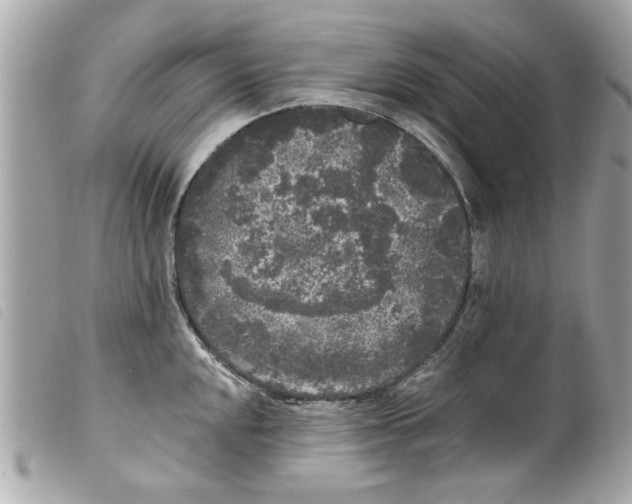 X0000099301048200805301129