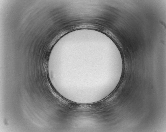 X0000099301049200805301129