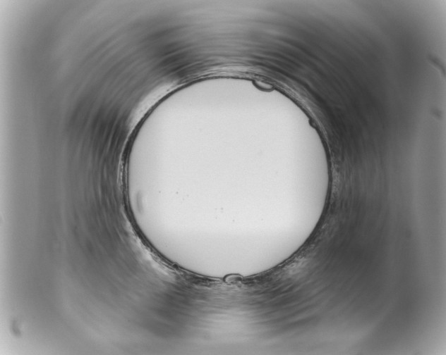 X0000099301050200805301129