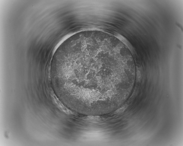 X0000099301052200805301129