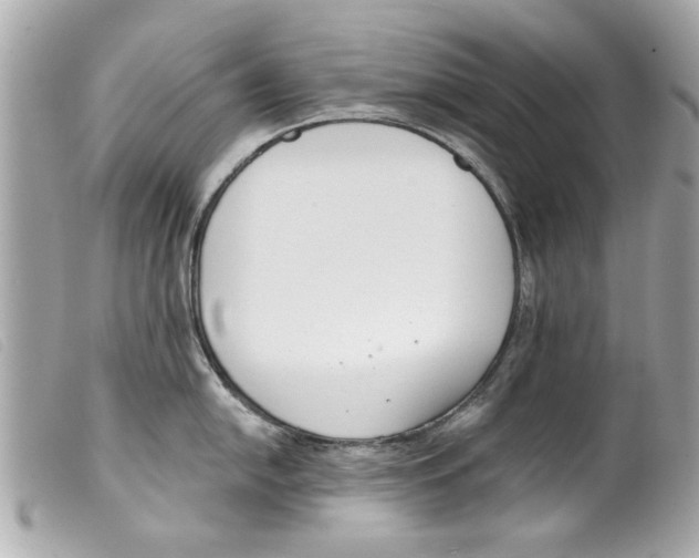 X0000099301054200805301129