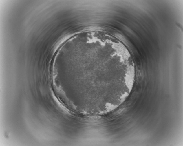 X0000099301055200805301129