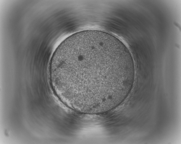 X0000099301056200805301129