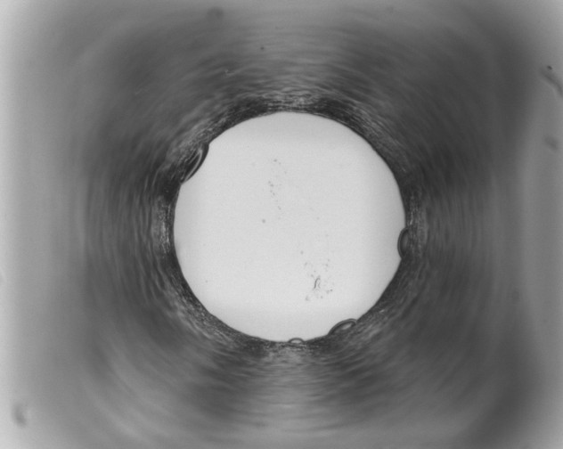 X0000099301058200805301128