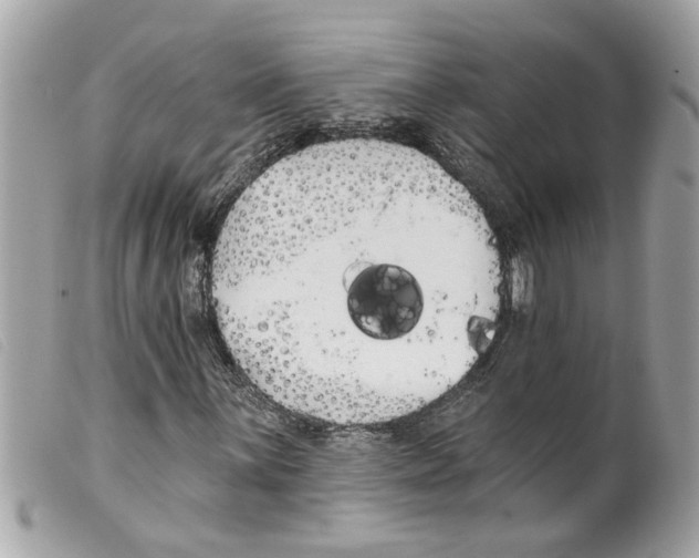 X0000099301059200805301128