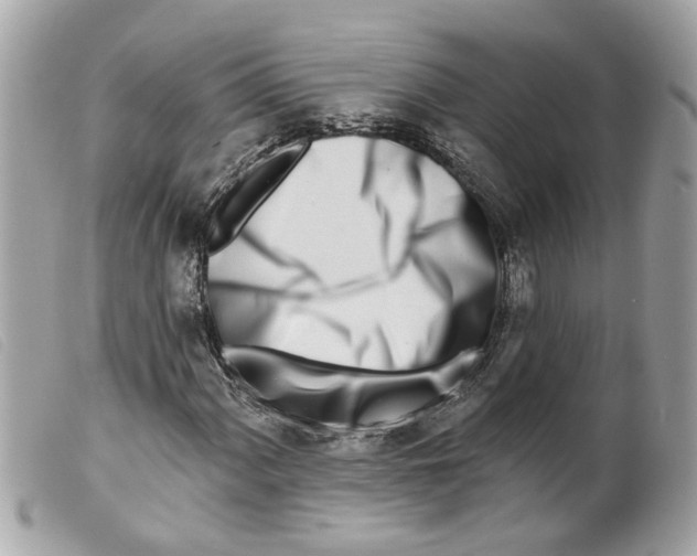 X0000099301060200805301128