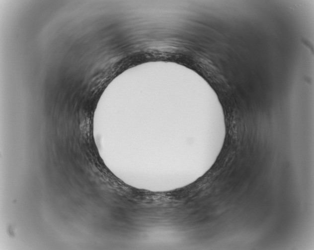 X0000099301061200805301128