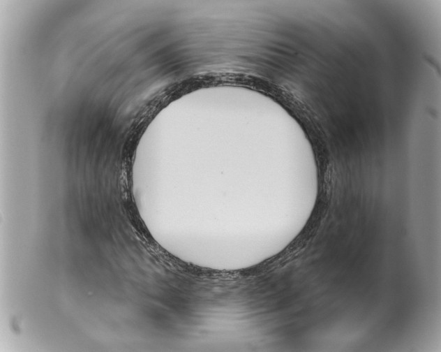 X0000099301062200805301128