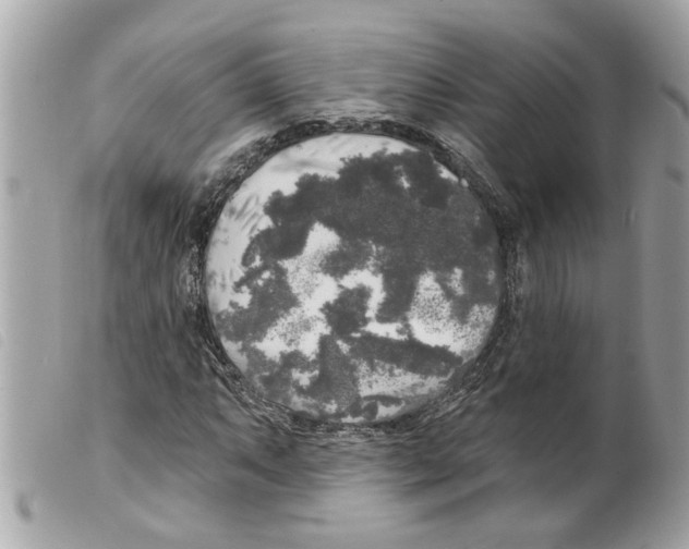 X0000099301063200805301128