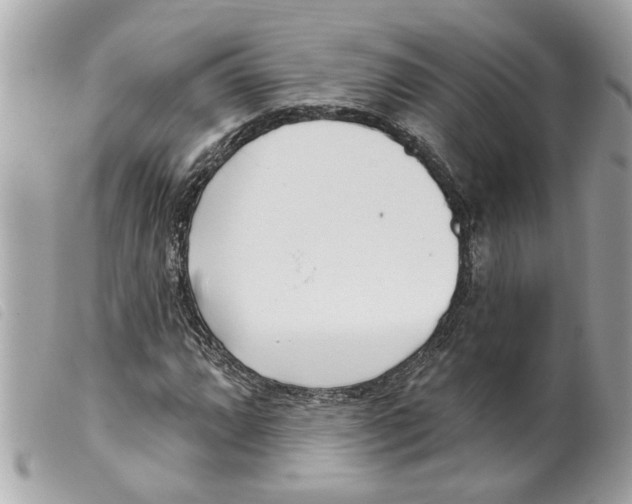 X0000099301064200805301128