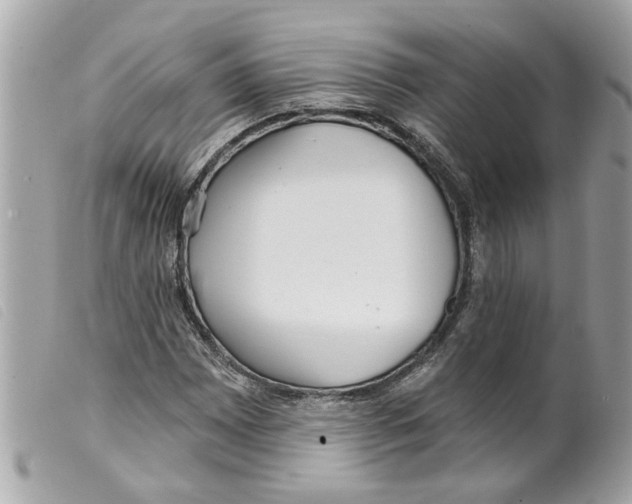 X0000099301065200805301128