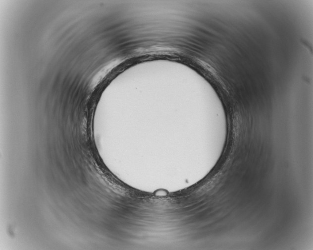 X0000099301066200805301128