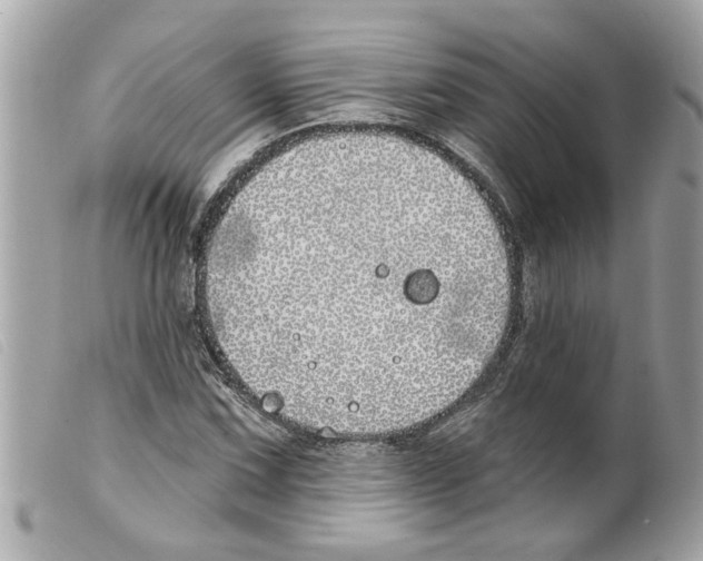 X0000099301067200805301128