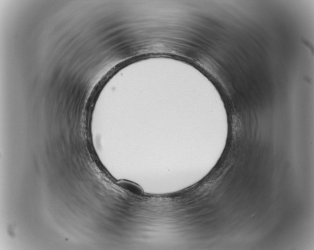 X0000099301068200805301128