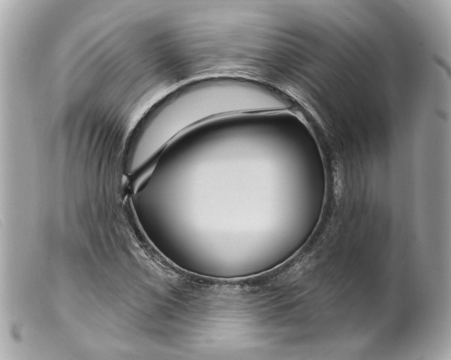 X0000099301069200805301128