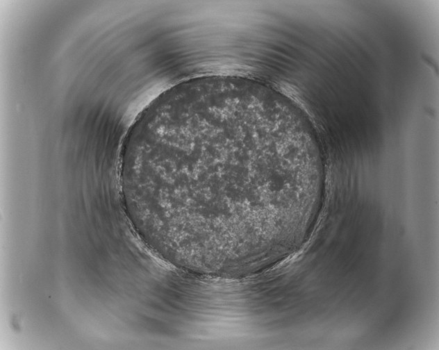 X0000099301071200805301128