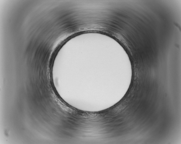 X0000099301072200805301128