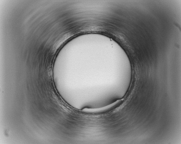 X0000099301073200805301128