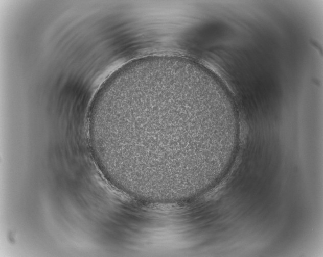 X0000099301074200805301128