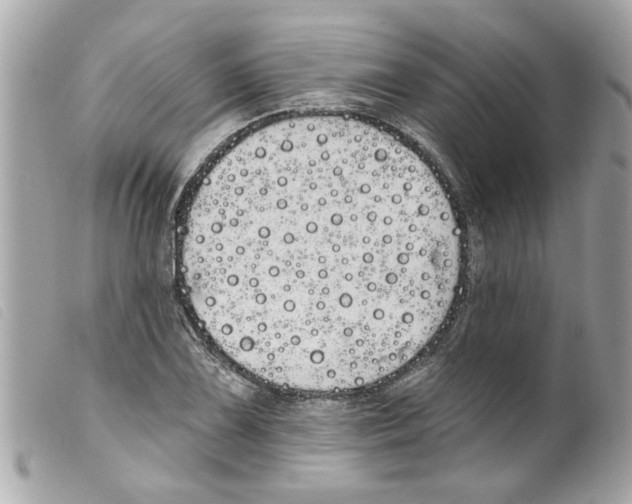 X0000099301075200805301128