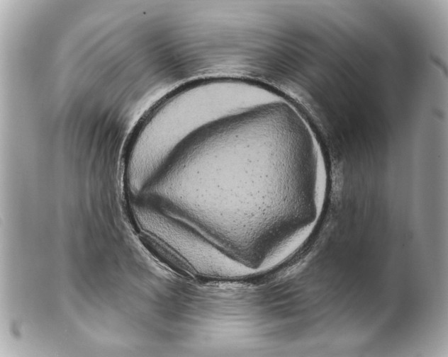 X0000099301077200805301128