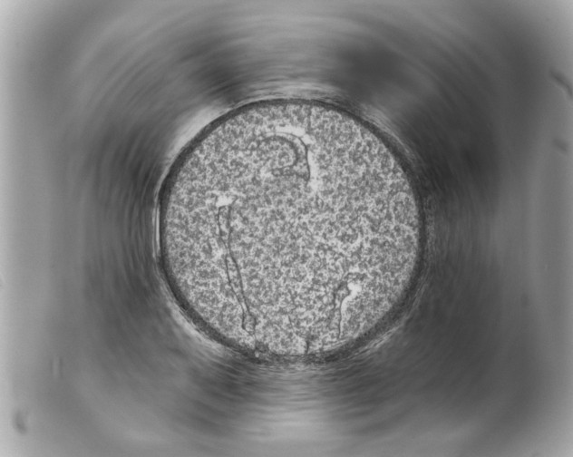 X0000099301079200805301128