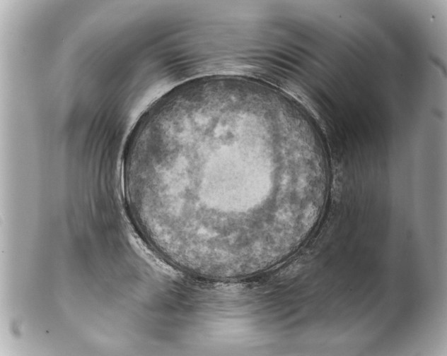 X0000099301080200805301128