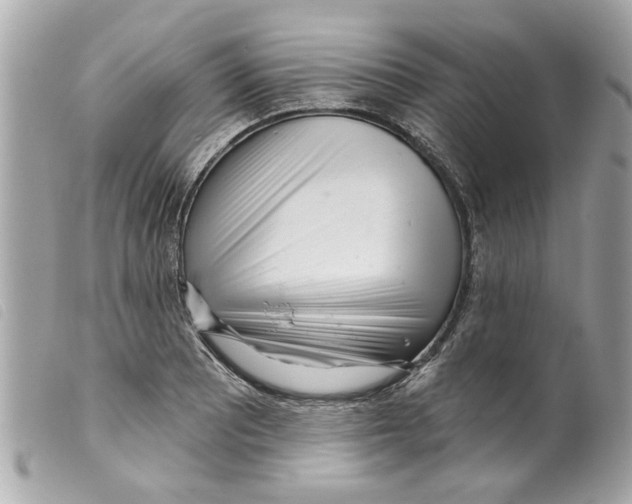 X0000099301081200805301128