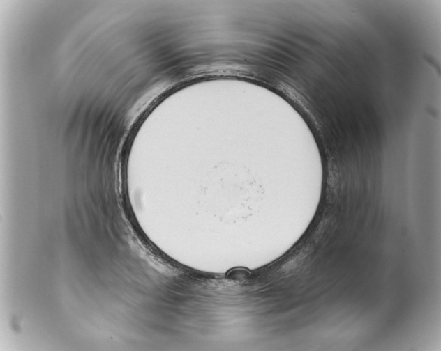 X0000099301082200805301128