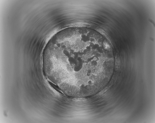 X0000099301083200805301128